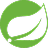 Java (Spring Boot) logo